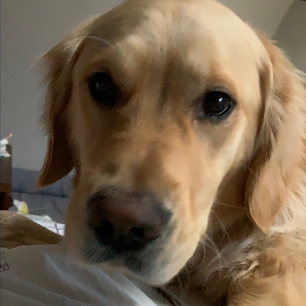 Meet your Posher, Garrett